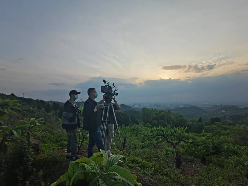 创意破圈！石楼县电商产品宣传视频用故事化叙事引爆流量