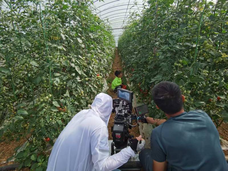 石楼县产品宣传视频拍摄公司进阶指南，助力品牌抢占传播高地